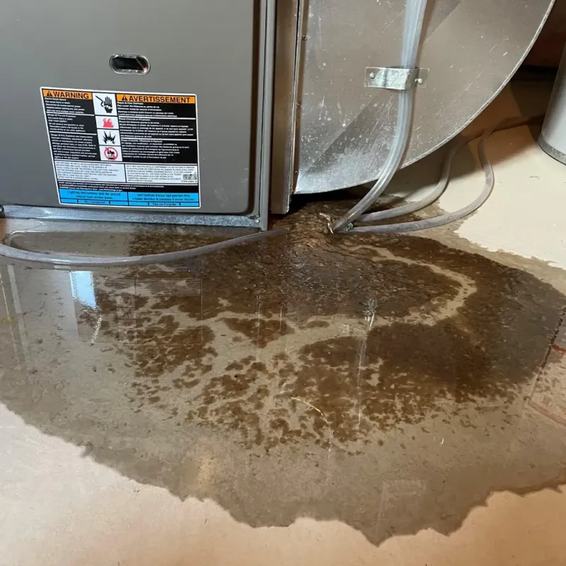 Appliance Leak Cleanup in Twin Lakes, VA
