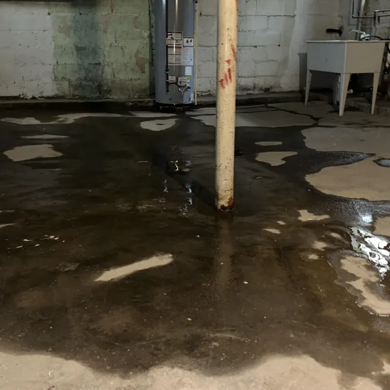 Emergency Water Extraction And Removal in Twin Lakes, VA
